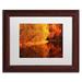 Millwood Pines And the Sun Down by Philippe Sainte-Laudy - Picture Frame Photograph Print on Canvas Canvas | 11 H x 14 W x 0.5 D in | Wayfair
