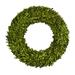 One Allium Way® Preserved Boxwood ery Wreath in Green | 24 H x 24 W x 4 D in | Wayfair 436E2F0975F34BF591CAD38EF60F5367