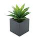 Latitude Run® 7" Artificial Succulent Plant in Pot Plastic/Metal in Black | 13 H x 9 W x 9 D in | Wayfair F123BF262D6A44029836E81E172CE7F9