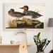 Gracie Oaks 'Pl 228 Green-Winged Teal' - Wrapped Canvas Print Canvas, Solid Wood in Black/Brown/Green | 12 H x 8 W x 1 D in | Wayfair