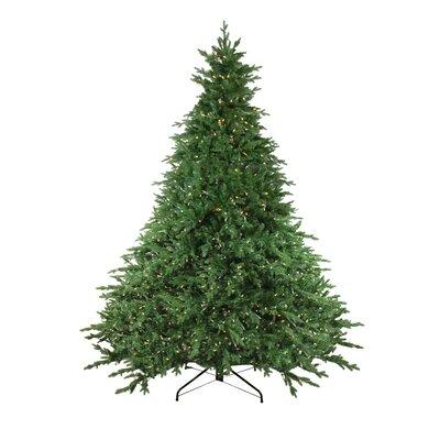 Northlight Seasonal Pre-Lit Full Minnesota Balsam Fir Artificial Christmas Tree - LED Lights in White | 108 H x 80 W in | Wayfair 32915590