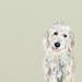 Winston Porter Best Friend White Golden Doodle by Cathy Walters - Wrapped Canvas Print Canvas | 10 H x 10 W x 1.5 D in | Wayfair
