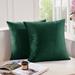 Everly Quinn Nicoletti Square Velvet Pillow Cover Velvet in Green | 26 H x 26 W x 1 D in | Wayfair 2C40EB10639B4269A20E001FB768A81F