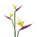 Primrue Premium Lifelike Real Touch Artificial Bird of Paradise Stems Plastic in Yellow | 36 H x 5 W x 4 D in | Wayfair