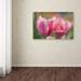 Winston Porter Tulip Flower Pink Mirella by Cora Niele - Graphic Art Print on Canvas in Green/Pink | 12 H x 19 W x 2 D in | Wayfair