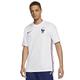 Nike Herren Fff Brt City Teamtrikot, White/Concord, L EU