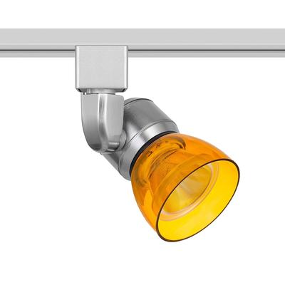 Brushed Steel and Clear Amber LED Track Head for H...