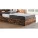 Latitude Run® Dekklan Storage Platform Bed Wood in Gray/Brown | 38 H x 55 W x 84.74 D in | Wayfair 5921C5038B9E48A3B8A9E39BB1524987