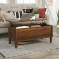 Beachcrest Home™ Fiorella Lift Top Coffee Table w/ Storage Wood in Brown | 19.38 H x 43.1253 W x 19.13 D in | Wayfair