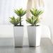 Latitude Run® Mini 2 - Piece Artificial Agave Plant in Planter Set Silk/Ceramic/Plastic | 11.5 H x 5.5 W x 5 D in | Wayfair