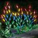 Primrue Leaf Branch Battery Lighted Trees & Branches in Green/Blue/Yellow | 23 H x 15 W x 2.76 D in | Wayfair EE8147833345402C844DD1BE32F65B8B