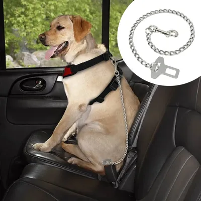 Didog – ceinture de sécurité en métal pour animaux domestiques en acier inoxydable Durable chaîne