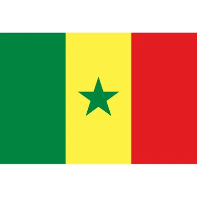 Yehoy-Suspension République du Sénégal Sensation pour Décoration 90x150cm