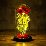 Fleur artificielle sous cloche R...