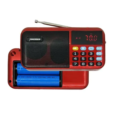 Haut-parleur Radio FM Portable C-803 Mini Portable numérique USB TF lecteur MP3 lampe de poche LED