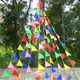 Triangles de Festival de Mariage 15x24cm 50 Mètres Guirxiété de ixd'Anniversaire Décoration de