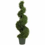 Darby Home Co Rosemary Artificial Cedar Topiary in Pot Silk/Plastic | 48 H x 12 W x 15 D in | Wayfair 71F4AD1E57F848CC8BFCC08B09C46709