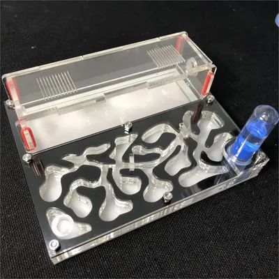 Tube de test d'humidité en acrylique pour fourmis accent de grand espace fourmilière villa