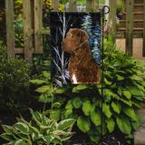 Red Barrel Studio® Starry Night Chesapeake Bay Retriever 2-Sided Garden Flag, Polyester in Black/Brown | 15 H x 11 W in | Wayfair