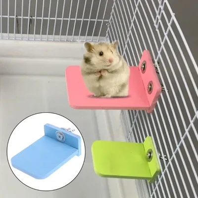 Support de plateforme pour Hamster Cage à écureuil rectangulaire jouets en bois colorés