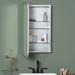 AllModern Eaton Surface Mount Framed 1 Door Medicine Cabinet w/ 3 Adjustable Shelves Stainless Steel/Aluminum in Gray | Wayfair