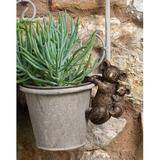 Jardinopia Koala Pot Buddy Pot Hanger In Gift Box Resin/Plastic/Stone in Gray | 2.96 H x 1.97 W x 4.33 D in | Wayfair PB0014