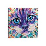 East Urban Home Cats in Colour I by Eve Izzett - Graphic Art Print Canvas | 12 H x 12 W x 0.75 D in | Wayfair 9A754ED83CBD4D39886DB08807981AE9