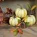 Northlight Seasonal Antiqued Crackle Finish Fall Harvest Pumpkins 4" Plastic | 3.75 H x 4 W x 4 D in | Wayfair NORTHLIGHT KJI91306 WHITE