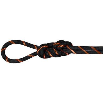 MAMMUT 8.7 Alpine Sender Dry Rope, Größe 60 in Dry Standard, black-safety orange