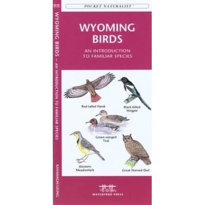 Missouri Birds: A Folding Pocket Guide To Familiar Species