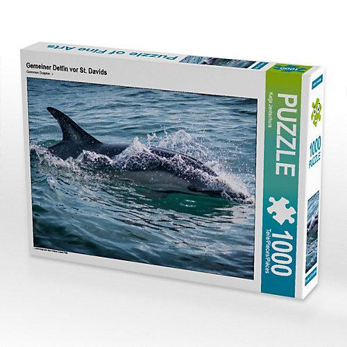 Puzzle CALVENDO Puzzle Gemeiner Delfin vor St. Davids - 1000 Teile Foto-Puzzle glückliche Stunden Kinder