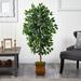 Primrue 51" Artificial Ficus Tree in Planter Polyester/Plastic/Metal | 51 H x 21 W x 19 D in | Wayfair 958B016C7503421E86D23A4A946F025E