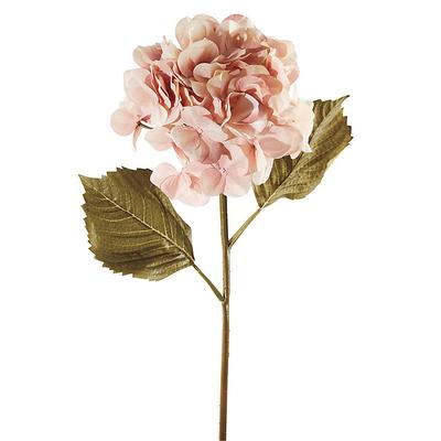 Hydrangea Stem - Blush - Ballard Designs