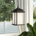 Sol 72 Outdoor™ Brookland 1 -Bulb 15.25" H Outdoor Hanging Lantern Glass/Aluminium/Metal in Black | 15.25 H x 8.38 W x 8.38 D in | Wayfair