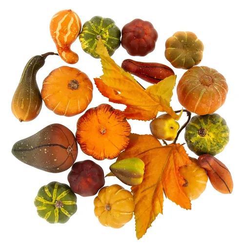 Mélange de citrouilles et courges déco, 20 pièces