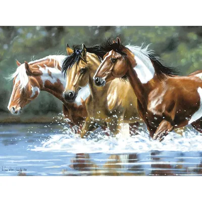 Malen nach Zahlen mit Acrylfarben Pferde, 40 x 30 cm