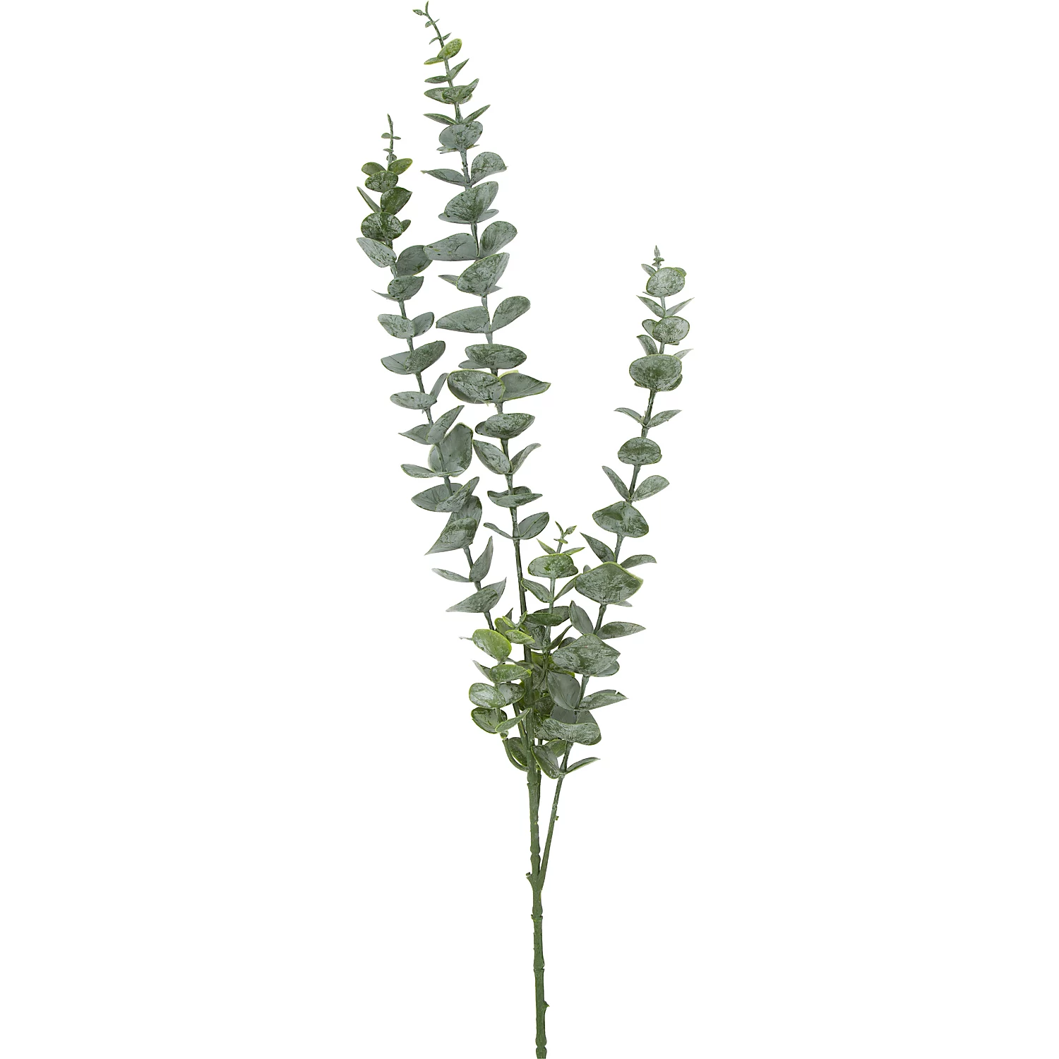 Eukalyptus-Zweig, 80 cm Image