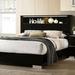 Orren Ellis Glendolyn Storage Standard Bed Wood in Gray | 48.25 H x 79.38 W x 91.63 D in | Wayfair A7F59EC46B214A8BB172EE32CC8008BF