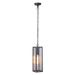 Wrought Studio™ Patternson 1 -Bulb 17.25" H Outdoor Hanging Lantern Glass/Metal in Gray | 17.25 H x 4.85 W x 4.85 D in | Wayfair