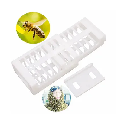 Cage à abeilles amovible en plastique blanc de haute qualité 100x30x17mm matériel pour apiculture