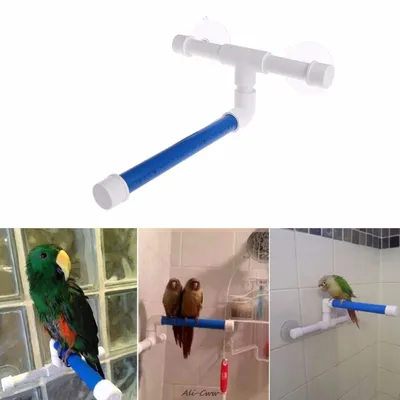 Support de bain pliable pour perroquet oiseau support de plate-forme pour jouets perchoirs de
