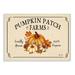 Stupell Industries Traditional Pumpkin Patch Farm Sign Tan Orange by Sheri Hart - Graphic Art Print Wood in Brown | 15 H x 10 W x 0.5 D in | Wayfair