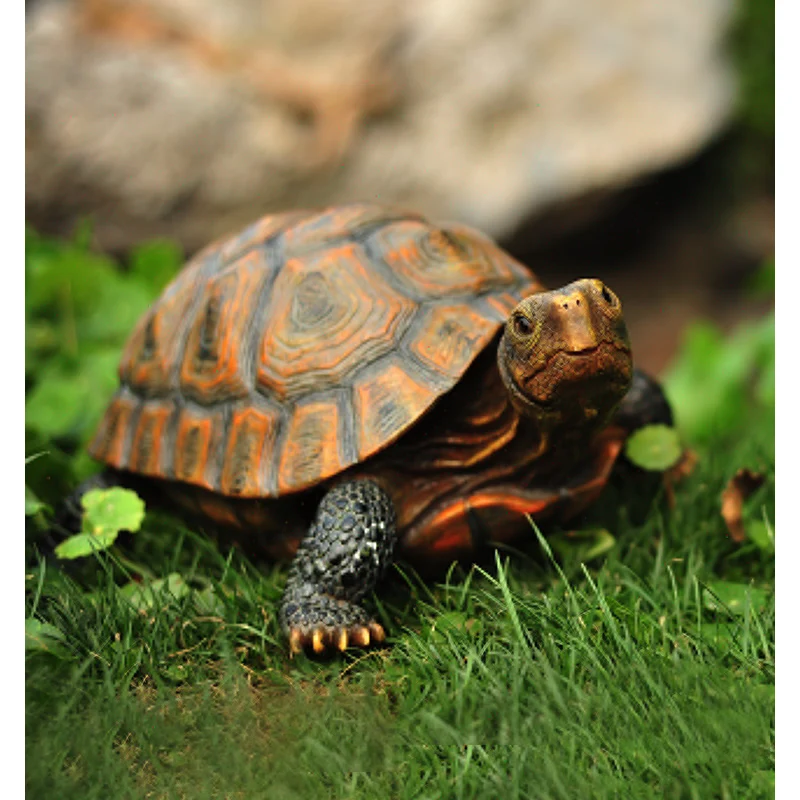 Statue de tortue en résine mignonne, magasin d'étang de jardin extérieur, bonsaï, Sculpture animale décorative pour décoration de jardin de maison, ornement
