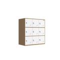 MECOLOR 9 Door Metal Locker, Office Cabinet Locker,Living Room and School Locker Organizer,Home Locker Organizer Storage for Kids,Bedroom and Office Storage Cabinet (white, 9D)