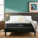 Twin Medium 12" Hybrid Mattress - Hope Dream | 80 H x 76 W 12 D in Wayfair HM12H-T