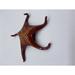 Rosecliff Heights Lydd Large Starfish Resin in Brown/Gray | 1 H x 6.5 W x 6.5 D in | Wayfair 12F61EE459F64ADCB94AE66EE910F861