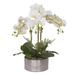 Primrue Faux Flower Arrangement Orchid in Pot Plastic/Polysilk | 4 H x 8.5 W x 8.5 D in | Wayfair 3EDD71043FA94E198EDC8822E6D2C450