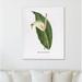 Bay Isle Home™ Botanical Two by Terri Ellis - Wrapped Canvas Graphic Art Print Canvas in Green/White | 10 H x 8 W x 1.3 D in | Wayfair