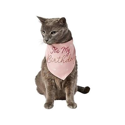 Frisco It's My Birthday Dog & Cat Bandana, Pink, X-Small/Small