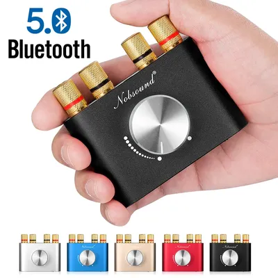 Douk audio-Mini amplificateur de puissance Bluetooth 5.0 TPA3116 récepteur audio sans fil stéréo